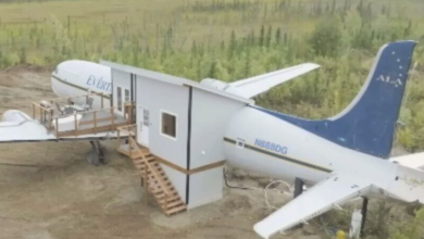 Photo of Couple takes retired airplane and turns it into beautiful 650-sq-ft tiny home