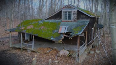 Photo of Man revitalizes abandoned cabin in the woods that’s been vacant for over 100 years