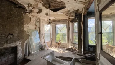 Photo of This 30-year-old paid $16,500 for a ‘cheap, old’ abandoned house—and completely transformed it: Look inside
