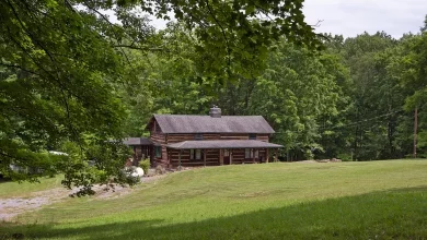 Photo of Your own enchanted forest with cabin in the woods on 55 acres.