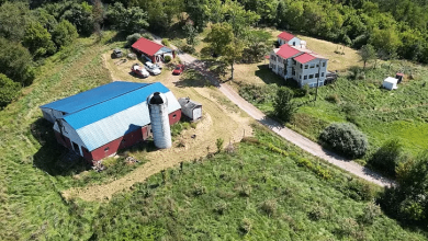 Photo of Deal of the Day! Circa 1865. On 53 acres in West Virginia. Has an orchard! $289,900