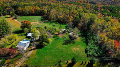 Photo of Deal of the Day! On 44 acres in North Carolina. Has fruit trees! $374,900