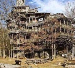 Photo of Treehouse With A Strange Story.