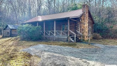 Photo of Rustic Log Cabin in Patrick Springs, Virginia